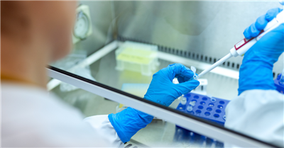 Testing services